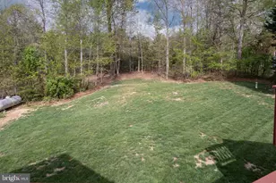6814 Tupelo Dr, Spotsylvania, VA 22551 - Photo 13