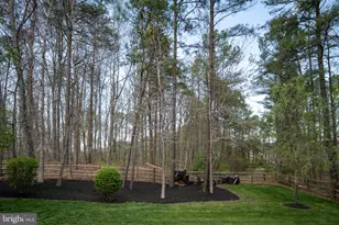 11613 Pine Hollow Ln, Spotsylvania, VA 22551 - Photo 83