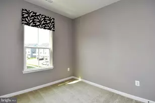 4539 Briarhaven Dr, Fredericksburg, VA 22408 - Photo 49