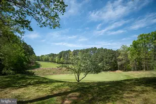 10919 Green Leaf Run, Spotsylvania, VA 22551 - Photo 33