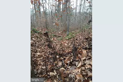 Assigned On Request, Partlow, VA 22534 - Photo 15