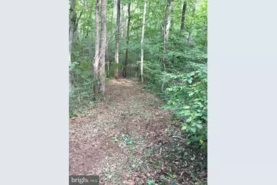 Assigned On Request, Partlow, VA 22534 - Photo 13