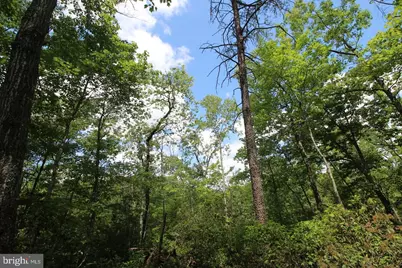 8103 Old Mineral Springs Road, Fredericksburg, VA 22407 - Photo 3