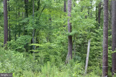 9911 Elys Ford Road, Fredericksburg, VA 22407 - Photo 9