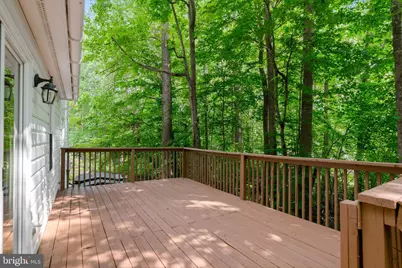 10001 Knotty Pine Court, Spotsylvania, VA 22553 - Photo 41
