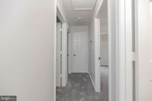 10001 Knotty Pine Ct, Spotsylvania, VA 22553 - Photo 29