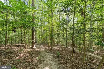 6001 Fox Point Road, Fredericksburg, VA 22407 - Photo 13