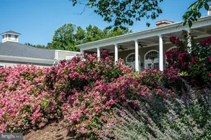 11004 Sheridan Dr, Spotsylvania, VA 22551 - Photo 121