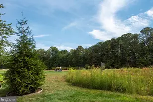 11004 Sheridan Dr, Spotsylvania, VA 22551 - Photo 103
