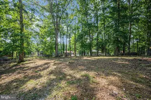 424 Albany St, Fredericksburg, VA 22407 - Photo 43