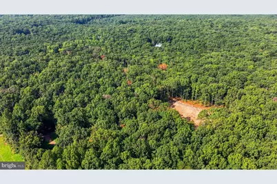 13009 Orange Plank Road, Locust Grove, VA 22508 - Photo 15
