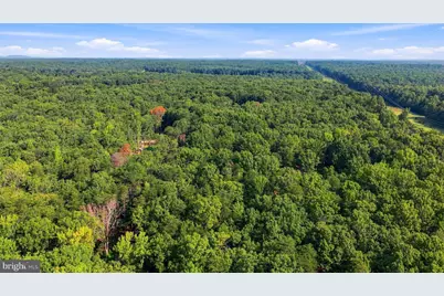 13009 Orange Plank Road, Locust Grove, VA 22508 - Photo 11