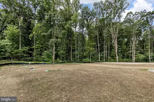 12902 Verrey Ct, Spotsylvania, VA 22551 - Photo 43