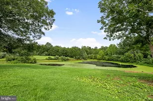 10001 Old Travelers Rd, Spotsylvania, VA 22551 - Photo 67