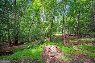 8609 Lee Jackson, Spotsylvania, VA 22553 - Photo 83