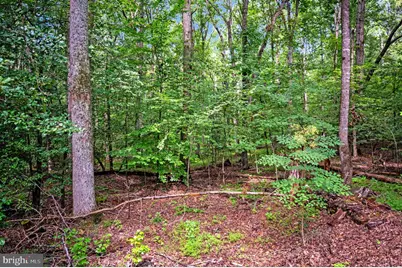8609 Lee Jackson, Spotsylvania, VA 22553 - Photo 79
