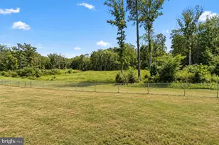 11100 Shady Grove Ct, Spotsylvania, VA 22551 - Photo 15