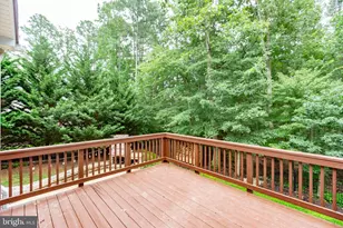 11622 Pine Hollow Ln, Spotsylvania, VA 22551 - Photo 77