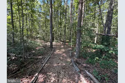 13017 Orange Plank Road, Locust Grove, VA 22508 - Photo 41