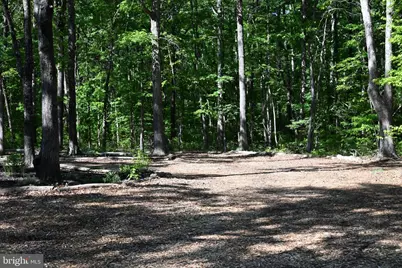 13017 Orange Plank Road, Locust Grove, VA 22508 - Photo 37
