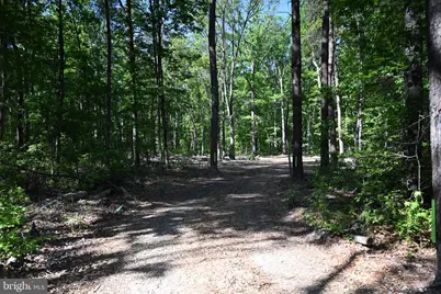13017 Orange Plank Road, Locust Grove, VA 22508 - Photo 35