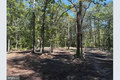 13017 Orange Plank Road, Locust Grove, VA 22508 - Photo 3