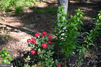 13017 Orange Plank Road, Locust Grove, VA 22508 - Photo 49