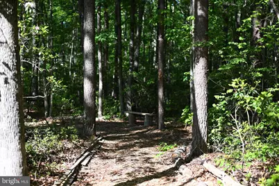 13017 Orange Plank Road, Locust Grove, VA 22508 - Photo 23