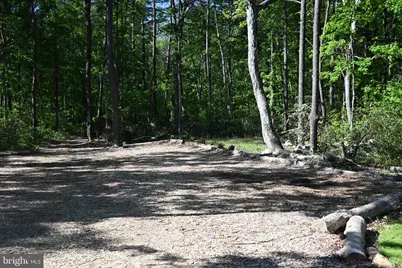 13017 Orange Plank Road, Locust Grove, VA 22508 - Photo 33