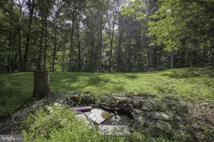 7 River Oak Pl, Fredericksburg, VA 22407 - Photo 47