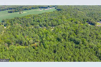 5552 Patriot Highway, Woodford, VA 22580 - Photo 5