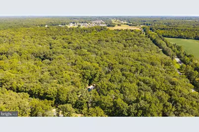 1007 Nine Mile Run Drive, Fredericksburg, VA 22407 - Photo 43