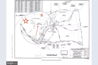 12616 Trench Hill Lane, Fredericksburg, VA 22407 - Photo 19