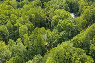 3329 Viola Way, Bumpass, VA 23024 - Photo 63
