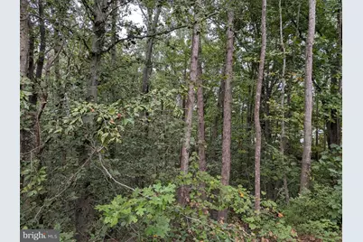 10015 Grass Market Court, Fredericksburg, VA 22408 - Photo 5