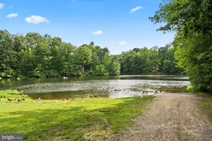 12907 Infantry Dr, Spotsylvania, VA 22551 - Photo 47