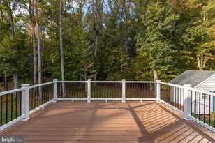 12129 Sawhill Blvd, Spotsylvania, VA 22553 - Photo 123