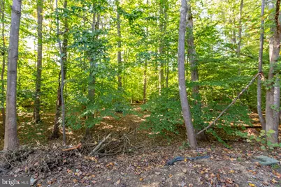 4268 Normandy Court, Fredericksburg, VA 22408 - Photo 49
