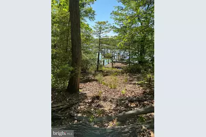 53 Betts Rd, Stafford, VA 22554 - Photo 29