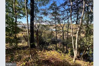 Lot 6 Shady Cove Lane, Stafford, VA 22554 - Photo 11