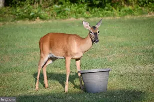 770 Poplar Rd, Stafford, VA 22556 - Photo 47