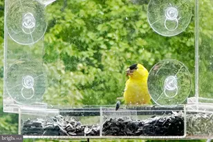 770 Poplar Rd, Stafford, VA 22556 - Photo 45