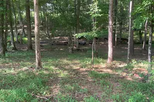 531 Kellogg Mill Rd, Fredericksburg, VA 22406 - Photo 83