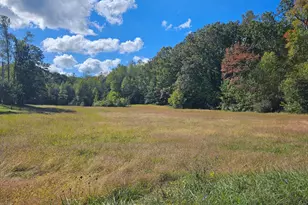 133 Meadows Rd, Fredericksburg, VA 22406 - Photo 55