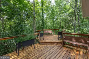 66 Estate Row, Stafford, VA 22554 - Photo 49