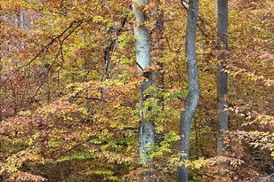 123 Arden Ln, Stafford, VA 22556 - Photo 67