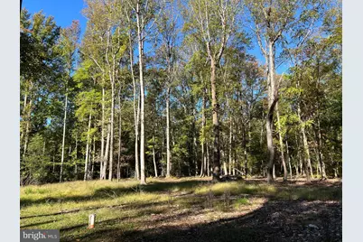 48 Waller Point Drive, Stafford, VA 22554 - Photo 43