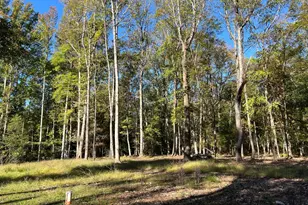 48 Waller Point Dr, Stafford, VA 22554 - Photo 43