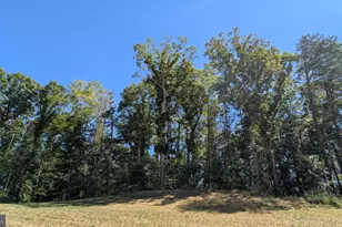 29 Hyssop Wy, Stafford, VA 22554 - Photo 19