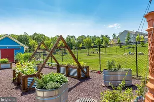 268 Pear Blossom Rd, Stafford, VA 22554 - Photo 5